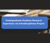 Project-based Interdisciplinary Research Experience for Undergraduate Students, by Wei Wei
